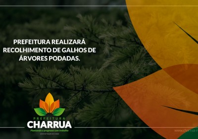 Prefeitura de Charrua realizará recolhimento de galhos de árvores podadas