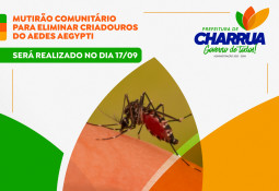Mutirão comunitário com objetivo de eliminar criadouros potenciais para o Aedes aegypti.