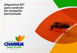 Disponível BTI para controel do mosquito borrachudo