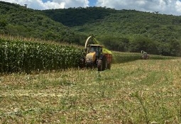 Agricultores de Charrua recebem apoio na produção de silagem