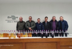 Avaliação Técnica do 15º Concurso de Vinho Artesanal